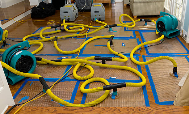Professional Structural Drying And Dehumidification technician working in Centereach, NY